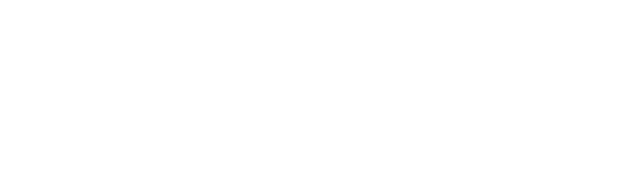 Anderson Group International